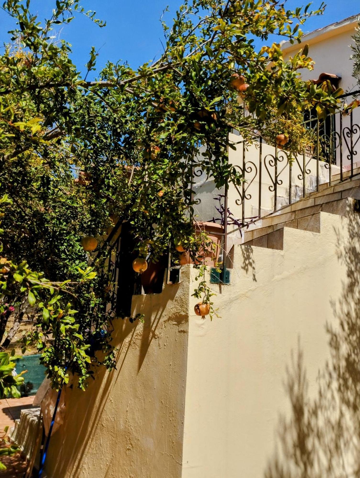 Κτήμα Τζαμήκα Διαμέρισμα Επισκοπή Χανίων Εξωτερικό φωτογραφία