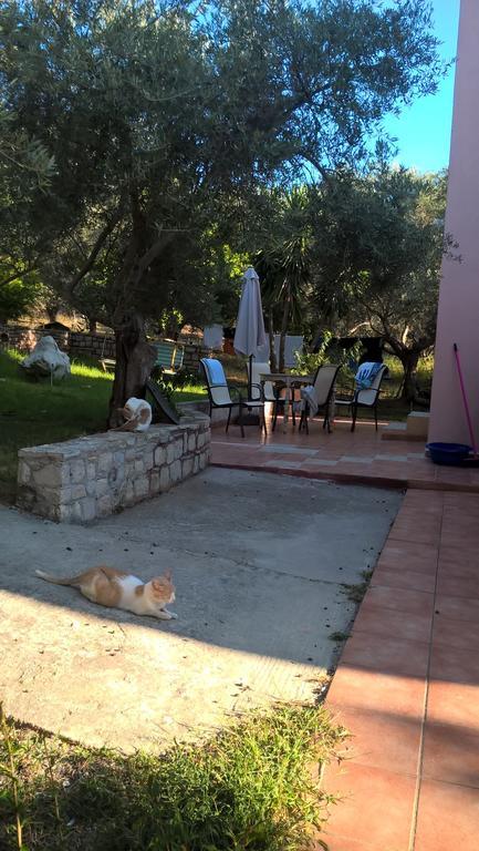 Κτήμα Τζαμήκα Διαμέρισμα Επισκοπή Χανίων Εξωτερικό φωτογραφία
