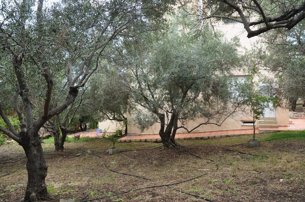 Κτήμα Τζαμήκα Διαμέρισμα Επισκοπή Χανίων Εξωτερικό φωτογραφία