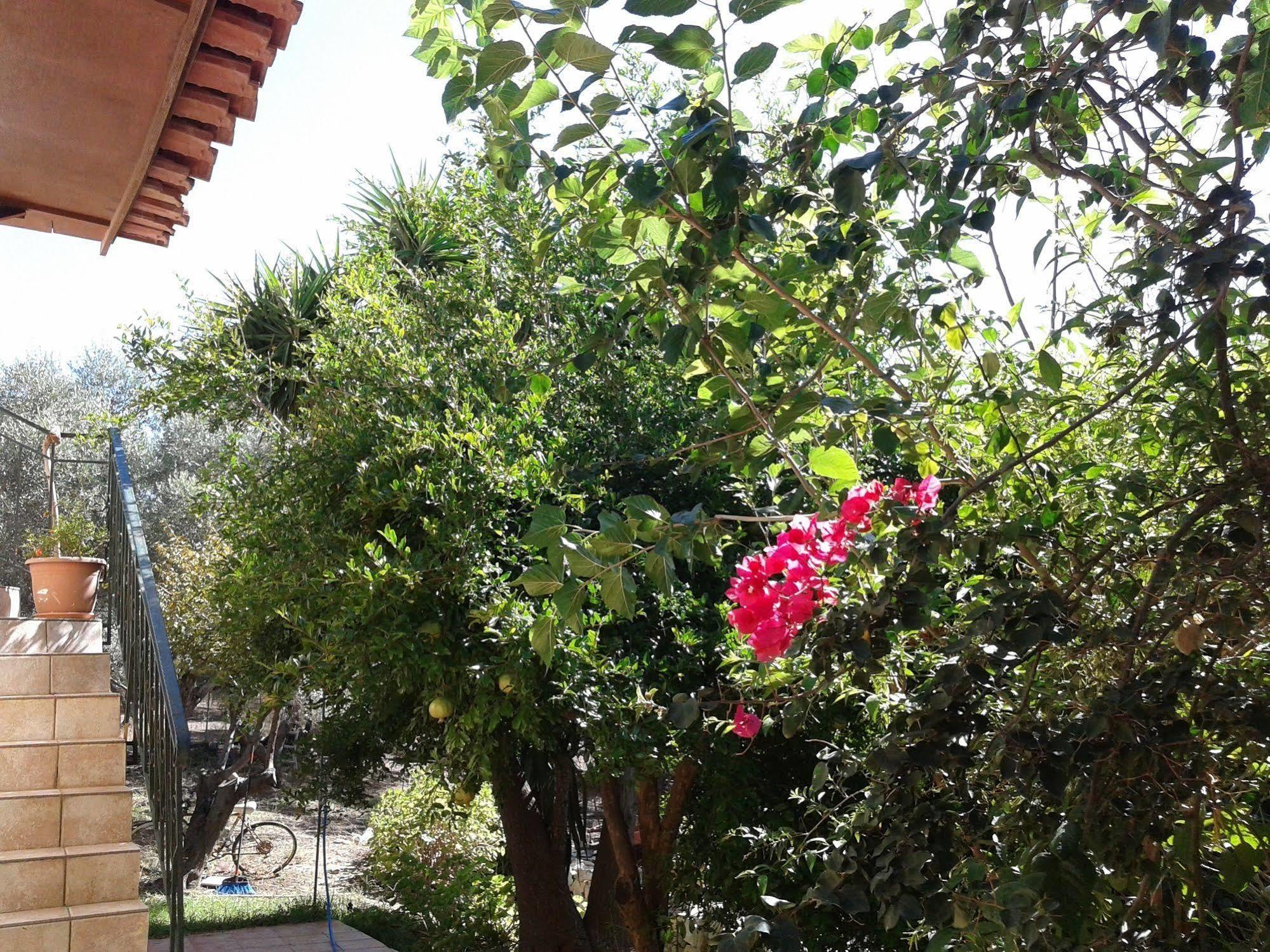 Κτήμα Τζαμήκα Διαμέρισμα Επισκοπή Χανίων Εξωτερικό φωτογραφία