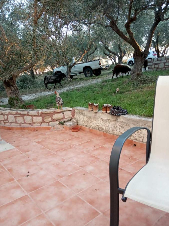Κτήμα Τζαμήκα Διαμέρισμα Επισκοπή Χανίων Εξωτερικό φωτογραφία