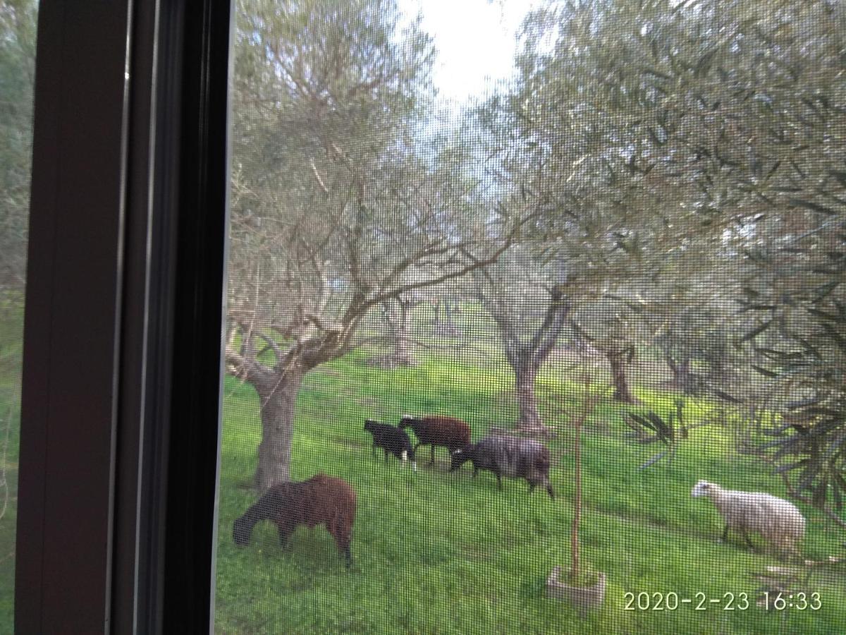 Κτήμα Τζαμήκα Διαμέρισμα Επισκοπή Χανίων Εξωτερικό φωτογραφία